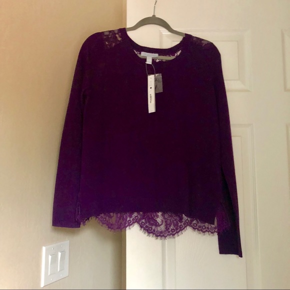 NWT✨ Lace Back Sweater - Picture 3 of 6